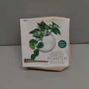 NPW Plant Life Magnetic Disco Ball Planter for Fridge, Plants Magnets for Refrigerator, Retro Indoor Garden Accessory, 5.75" Modern Indoor Planter for Flowers, Succulents, Herbs