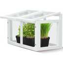 Mini Tabletop Greenhouse 12"x8" – Compact Indoor Plant House with Clear Acrylic Panels & Wood Frame with 4" Pots for Herbs, Seedlings, Cuttings & Propagation - Cat Safe