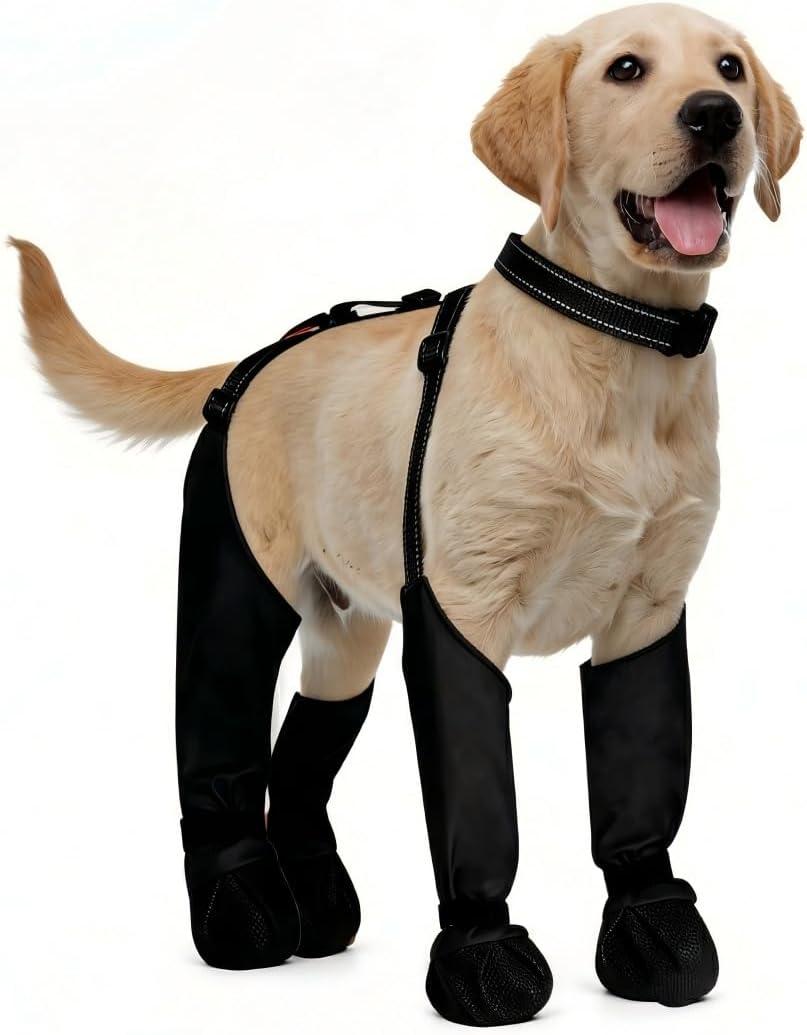 All-in-One Dog Suspender Boots for Small, Medium & Large Dogs Waterproof Paw Protectors with Non-Slip Sole & Reflective Straps, Ideal for Rain, Snow, and Hiking (Black, M)
