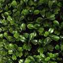 VOPVZVKO Two Artificial Outdoor 4' Spiral Boxwood Topiary UV Rated! Free Returns!