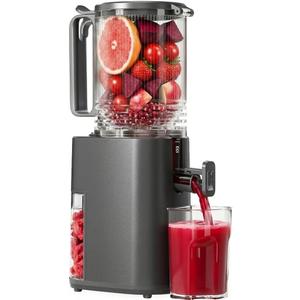 Cold Press Juicer, 5.5inch Wide Feed Chute Juicer Machine, Slow Masticating Juicer for Whole Vegetables & Fruits, Gray