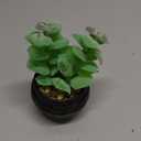 GREENTIME 6 Pcs Green Artificial Succulent Plants in Mini Black Plastic Pots Small Fake Succulent Plant Faux Indoor Decor Bedroom Desk Bathroom Office Living Room Table Shelf Home Decoration