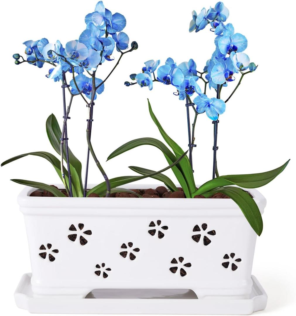10 Inch Rectangle Ceramic Orchid Pot with Holes & Saucer - White, Effective Drainage & Ventilation for Indoor Orchids