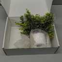 Der Rose 3 Pack Mini Potted Fake Plants Artificial Plastic Eucalyptus Plants Centerpieces for Table Home Office Desk Accessories Farmhouse Room Classroom Decor