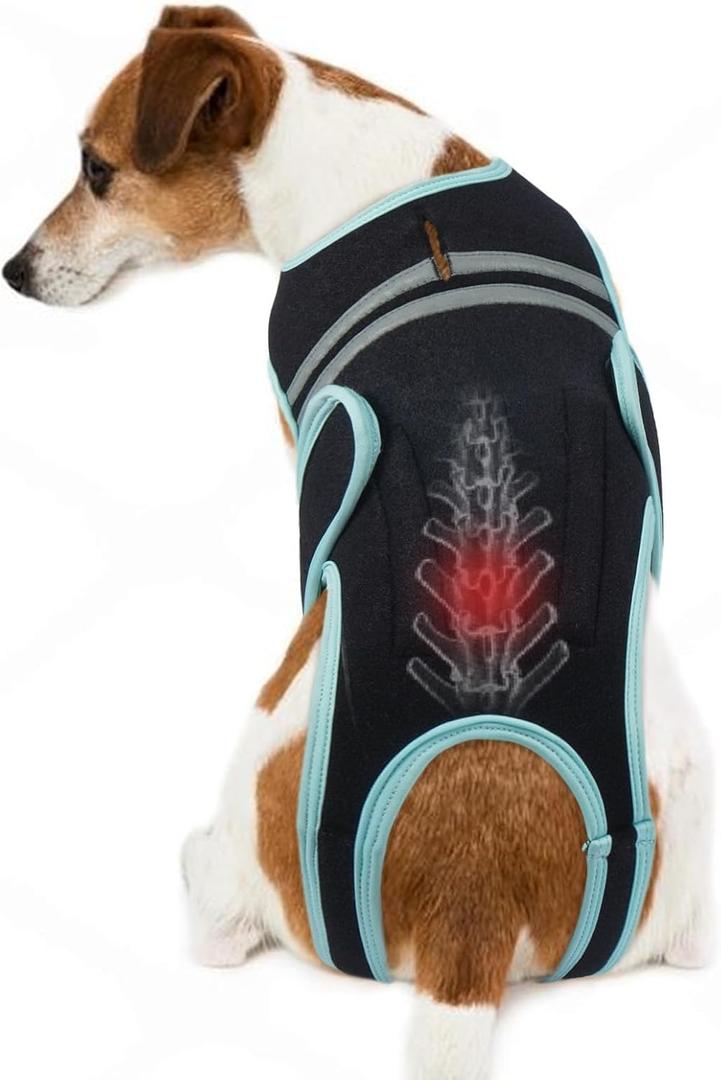 Dog Back Brace, Breathable Dog Post-Surgery Vest for IVDD, Arthritis & Spine Support, Adjustable Reflective Pet Back Bracer Pain-Relieving Harness, Black Large
