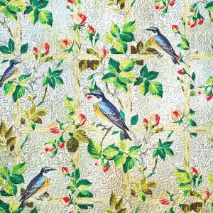 Coavas Privacy Window Film - Forsted Glass Window Film Decorative Static Cling Non-Adhesive UV Blocking Window Cover for Home Office Door, Pure, 17.5 x 78.7 Inches