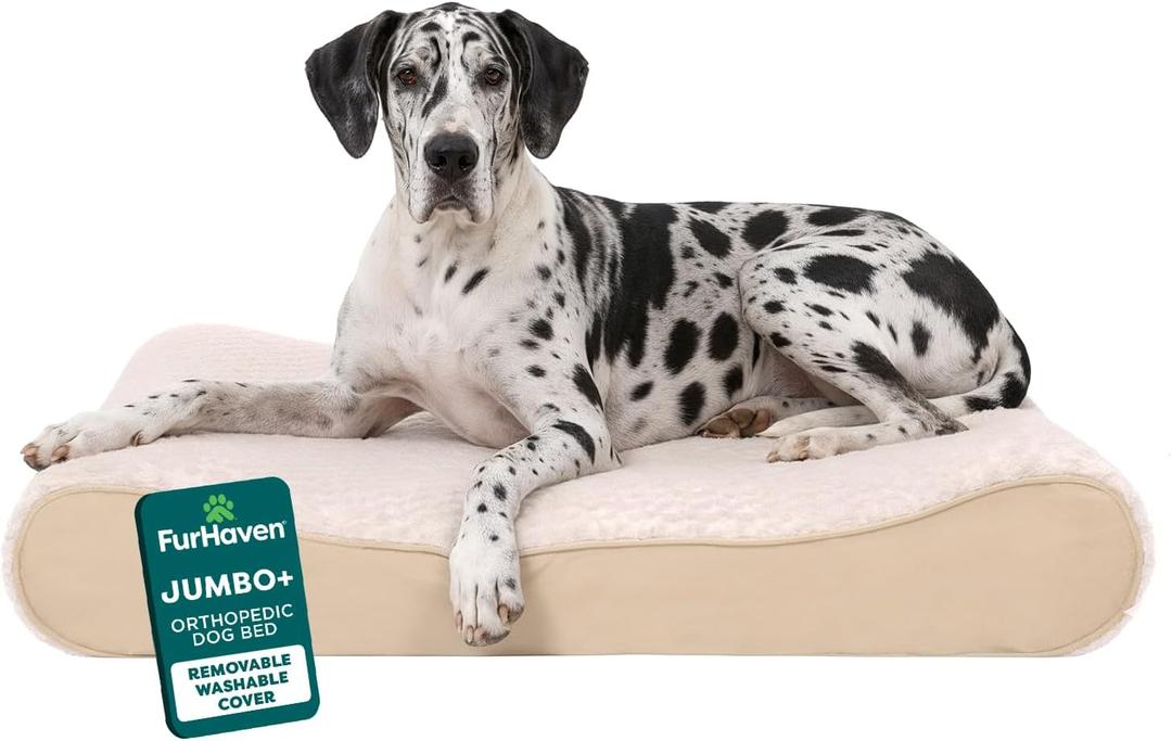 FurHaven Orthopedic Dog Bed for Large Dogs, Luxe Lounger Contour Mattress with Solid Orthopedic Foam Slab for Joint Support, Removable Washable Cover - Jumbo Plus XXL, Plush Suede, Cream