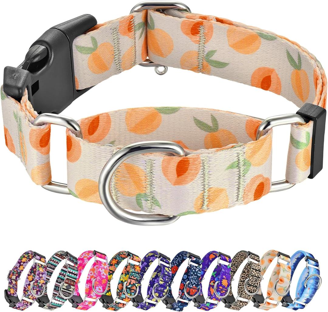 Hikiko Martingale Collar for Dogs Peach Dog Collar for Small Medium Large Dogs Cute Holiday Summer Dog Collars Pet Gift (Peach,Medium)