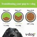 V-dog Vegan Kibble Dry Dog Food (24 LB) | Plant Based Protein with Added Taurine for Sensitive Stomach and Skin | Adult Dog Food | Vegetarian Superfood | Made in US (EXP 03/01/27)