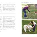 How to Train Your Dog: A Relationship-Based Approach for a Well-Behaved Dog
