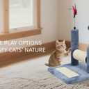 ROYPET Multifunctional Cat Scratching Posts for Indoor Kittens,Cat Scratching Pads for Play and Activity,Scratching Posts with Feather Toys and Spring Hanging Balls,Grey
