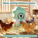 Tgeyd 4.2-Gallon Gravity Chicken Feeder & Waterer Set No-Waste Poultry Feeder with Automatic Water Dispenser, Rainproof Lid, Raised Stand Legs & Anti-Roost Cone