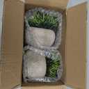 THE BLOOM TIMES 2 Pcs Small Fake Plants for Home Decor Indoor, Artificial Faux Potted Greenery for House Office Decorations