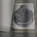 ANDERY Car Phone Holder for Magsafe [78+LBS Strongest Suction & 2400gf Magnetic] 360 Adjustable Car Phone Mount, Phone Holders for Your Car for iPhone All Smartphones Valentine's Day Gift for Him Her