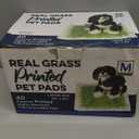 Big Dawg Pet Supplies Realistic Grass Printed Disposable Pet Pads. 24x24in Puppy Pee Pads for Dogs, Cats, and Small Animal Wee in Handy Grab-n-Go Box. Absorbent Potty Training, Housebreaking Supplies