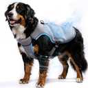 Mora Pets Cooling Vest for Dogs with Ice Pack Evaporation Cooling Fully Adjustable Dog Harness Fit Small Medium Large Dogs Light Blue XXL