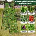 A-Frame Cucumber Trellis for Raised Bed, 50"x 16" Adjustable Heavy Duty Metal Garden Trellis for Climbing Plants Outdoor, Plant Support for Tomatoes Pea Bean Grape Vining Vegetables (2 Pack)