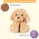 SuzziPals Warmable Golden Retriever Plush Toy Weighted Stuffed Animals, Microwavable Stuffed Animal Heating Pads for Period Cramps, Dog Stuffed Animal for Bedtime, Puppy Plushie Gifts for Kid Women