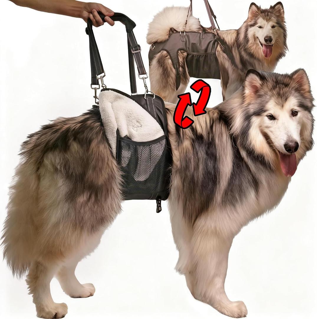 Dual-use Dog Lift Rehab Hareness Canine Sling for Large Pooch Rear Legs and Hip Support,Adjustable and Soft Brace Strap for After ACL Surgery, Helps Senior, Injured and Disabled K9 - Medium