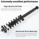 Rear Shock Absorber Fit for 2003-2007 Honda Accord (Not for Hybird), for 2004-2008 ACURA TL, Struts Assembly w/Coil Spring, Replace for 171372Set of 2)