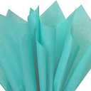 Caribbean Teal Tissue Paper Squares, Bulk 24 Sheets, Premium Gift Wrap and Art Supplies for Birthdays, Holidays, or Presents by Feronia packaging, Large 20 Inch x 26 Inch