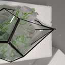 NCYP Silver Hanging Glass Geometric Terrarium, 6.8 x 6.8 x 8.6 Inches Teardrops Shape Display Planter for Succulent Air Plants, Indoor Decor Flower Holder, Handmade (NO Plants)