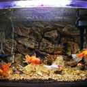 Rock Wall Aquarium Background Poster PVC Fish Tank Decor Landscape 24 36 48 72 (48" x 24"/ 122 x 61cm)