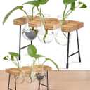 Window Garden Plant Terrarium Glass Vase with Stand - Set of 3 - Real Wood Frame with Transparent Bulb-Shaped Glass - Propagation Stations for Indoor Plants - Wooden Finish
