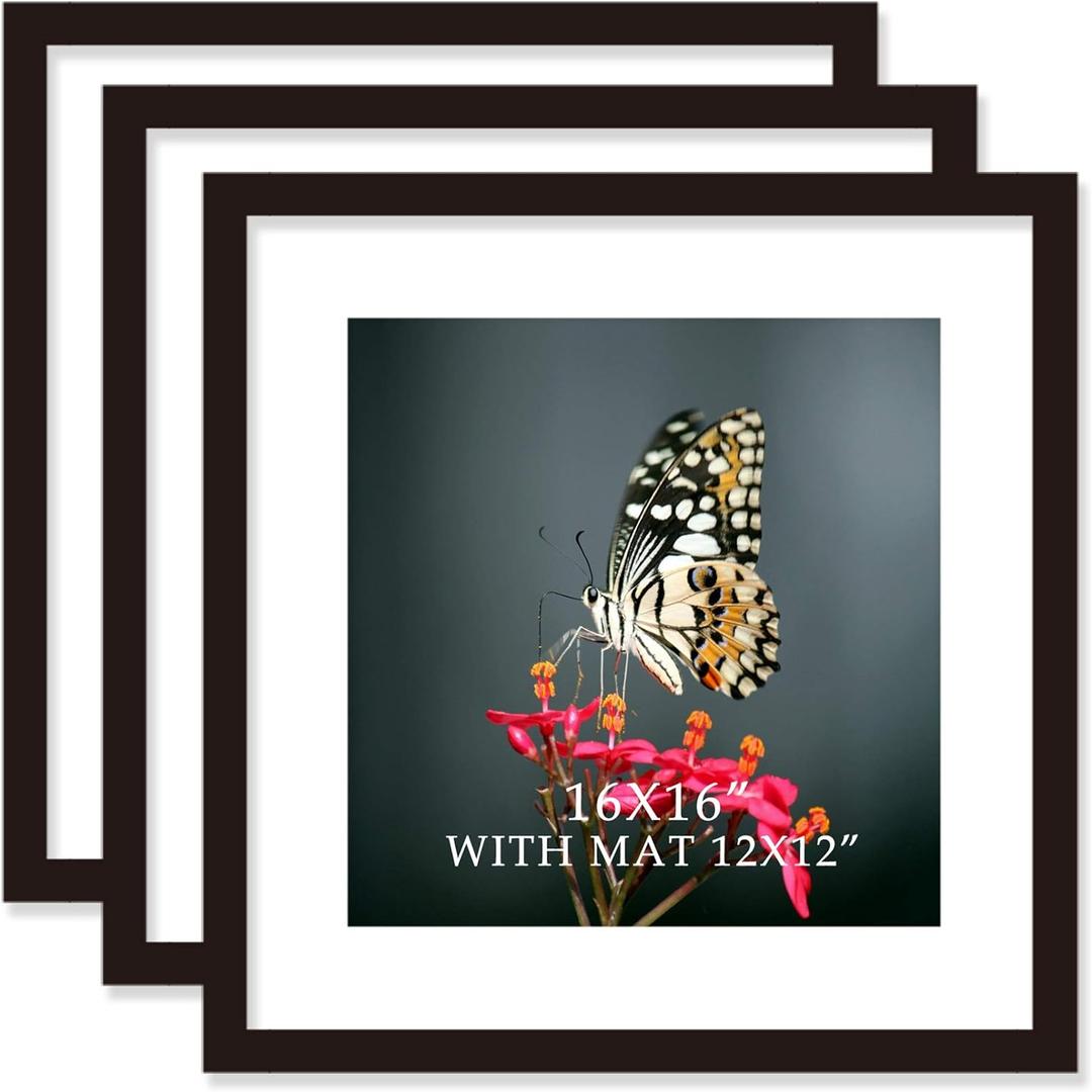 16x16 Frame Black With Mat 12x12 Solid Wood Picture Frames Wall Mounting (3 pack, 16x16 Inch)