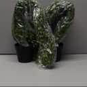 Artificial Hanging Plant 2 Pcs Faux Plant Ivy Vine Faux Eucalyptus Vines Fake Potted Greenery for Wall Living Room Home Shelf Office Bathroom Outdoor Indoor Decor (Type 4)