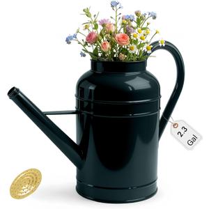 2.3-Gallon Metal Watering Can,8.7L Galvanized Watering Can for Outdoor Plants with Removable Long Golden Spout