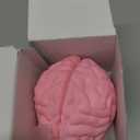 Cross Section Foam Brain Model | Free Stand, Answer Sheet & Digital Worksheet | Educational Tool Learning & Teaching Human Anatomical Function, Psychology, Biology or Science | 2 Labeled Half Pieces