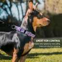 Martingale Collar for Dogs, Adjustable Soft Nylon Dog Collars with Special Design Cute Patterns for Small Medium Large Dog