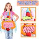 KAKIBLIN 3D Organ Apron,(Upgrade Version) Anatomy Apron Human Body Organs Awareness Educational Toy for Home Preschool Teaching Aid, Transparent