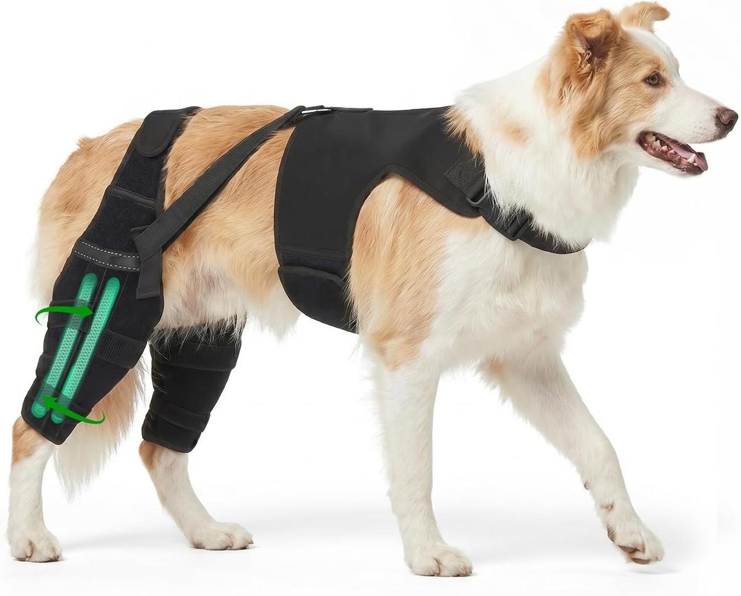 Dog Leg Braces for Back Leg, Adjustable Dog Knee Brace with 4 Stabilizers, Hip Support to Reduces Pain, Ligament Injuries & Luxating Patella & ACL CCL for  Large Dogs, Large 