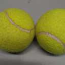 GAMMA Sports Pressureless Tennis Balls Box - Ideal for Practice, Teaching, and Training with High-Visbility Felt - Indoor and Outdoor Court Play - 48 and 75 Pack Sizes