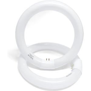 8 Inch Round 22 Watt T9 Circular Fluorescent Bulb FC8T9/DL Circline Fluorescent Lamp 11026 6500K (T9-22W Daylight)