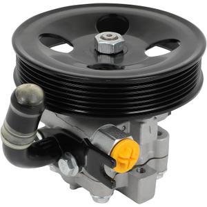 ECCPP Power Steering Pump with Pulley for Kia Rondo 2007-2010 L4 2.4L for Magentis 2007-2010 L4 2.4L for Optima 2006-2010 L4 2.4L Power Assist Pump for 571002G000