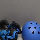 Kids Bike Helmet Set Adjustable Helmet for Ages 3-15 Kids Toddler Boys Girls Youth, Multi-Sport Bicycle Skateboarding Football Rollerskating Scooter Rollerblade Balance Bike Helmets (Medium: 20.47"-22.83" / 8-14 year, blue)