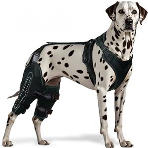 Dog Knee Brace for ACL, CCL, Arthritis, Joint Pain Hinged Leg Support for Torn Ligament, Luxating Patella, Rear & Hind Legs Orthopedic Compression & Mobility Recovery Wrap (Both Legs Large)
