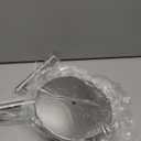 Toilet Paper Holder, Silver