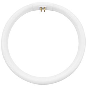Dlh western 7.25" Bulb Replacement Compatible with T5 Circle Type 22 Watt Lamp for Floxite, Zadro and Rialto Vanity Mirrors