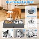 URPOWER Raised Dog Bowls 4 Height Adjustable Elevated Bowl Stand with Stainless Steel Water Bowl Non-Slip Dog Food Bowls Stand for Small Medium Large Dogs and Pets, Gray