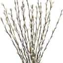 20 Pcs Natural Preserved Dried Flowers Real Pussy Willow Branches for Vases Tall Artificial Pussywillow Stems 19.7" White Snow Pussywillows for Home Decor Indoor Wedding Party Hotel Fireplace