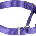 Hyhug Martingale Collar for Dogs Small Purple |Escape - Proof Heavy Duty Nylon Durable No Buckle, Ideal for Training & Daily Walks (Ultra violet)