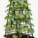 Joyhalo Heavy Duty Adjustable A-Frame Cucumber Trellis for Climbing Plants, 50.4"x17" All-Metal Garden Trellis with Dense Grid Climbing Frame for Raised Beds, Tomatoes, Cucumbers & Outdoor Vines