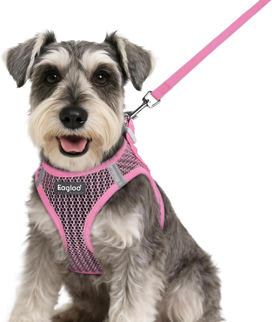 Eagloo Small Dog Harness and Leash Set, Step in Puppy Vest with Breathable Soft Mesh, Walking Reflective Pet Harness for Dogs, Pink, Small