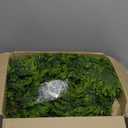 6FT Artificial Cedar Christmas Garland with 120 LED Lights - Real Touch Winter Pine Garland, Green Artificial Greenery Garland for Table, Mantle, Wall, Indoor, Outdoor Christmas Decorations