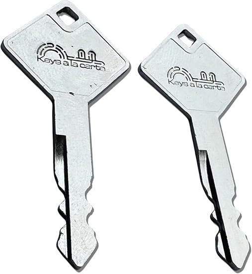 Truck Cap Topper Handle Replacement Keys from 0001 Thru 0020 A.R.E. Topper Cover Keys 2 Cut Keys. (0009) 