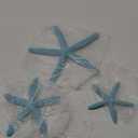 SAILINGSTORY Starfish Decor Coastal Beach Decorations for Home Beach Bathroom Decor Nautical Ocean Dcor Small